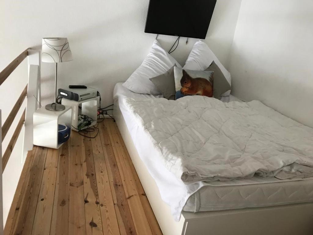 Ferienwohnung Felix Braunlage Εξωτερικό φωτογραφία